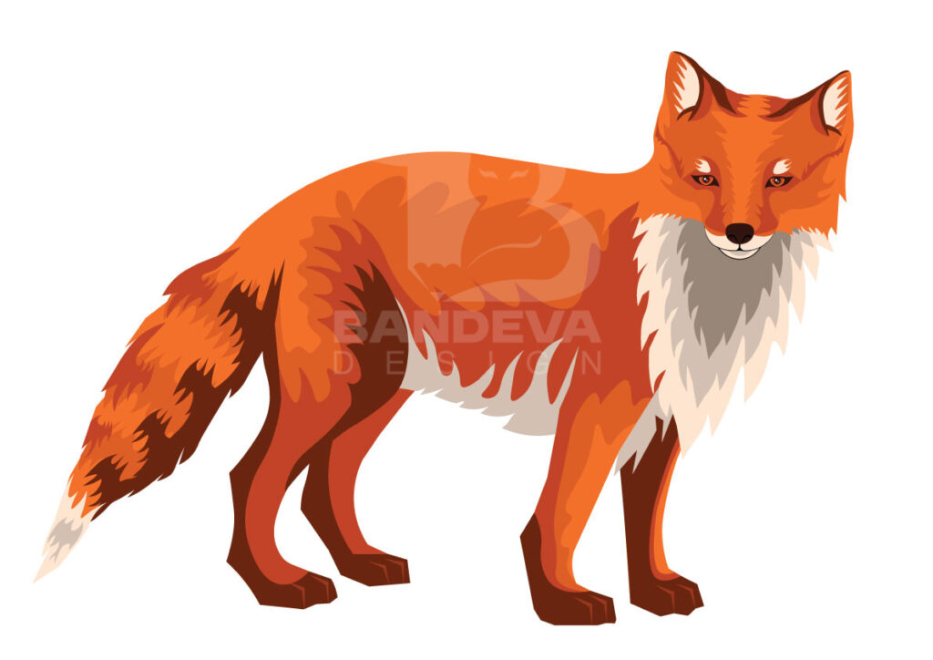fox